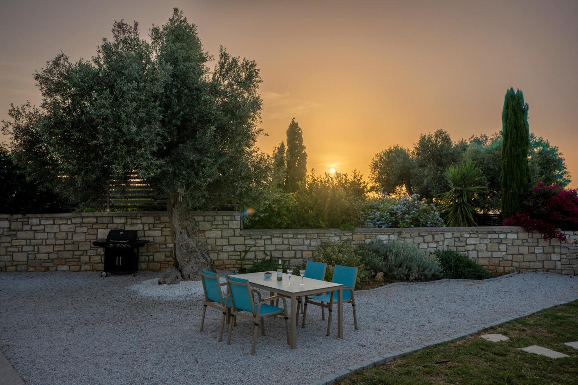Villa Vasiliki Private Pool Erfoi Eksteriør billede